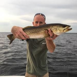 Meet your Posher, Andrew